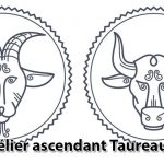 belier-ascendant-taureau