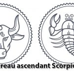 taureau-ascendant-scorpion